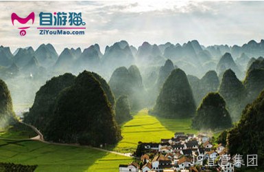 点击查看贵州旅游网案例