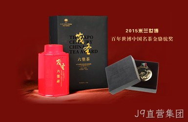 茂盛茶叶图片