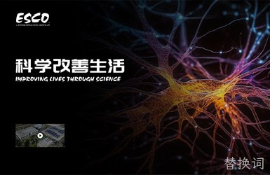点击查看