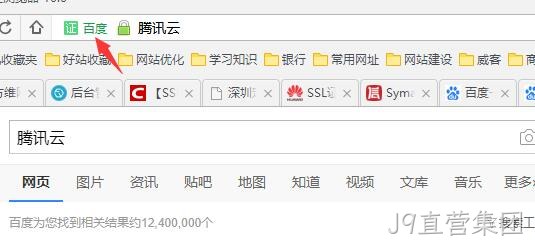 HTTPS 公司名显示2