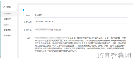 企业网站开发