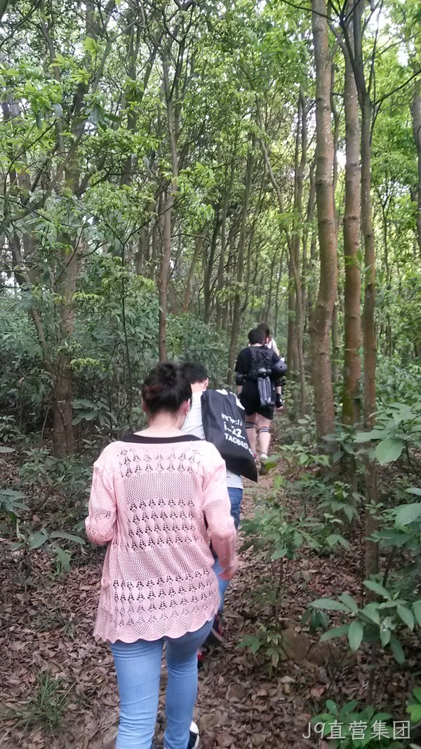 J9直营集团仙湖行